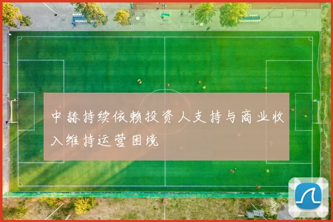 中赫持续依赖投资人支持与商业收入维持运营困境