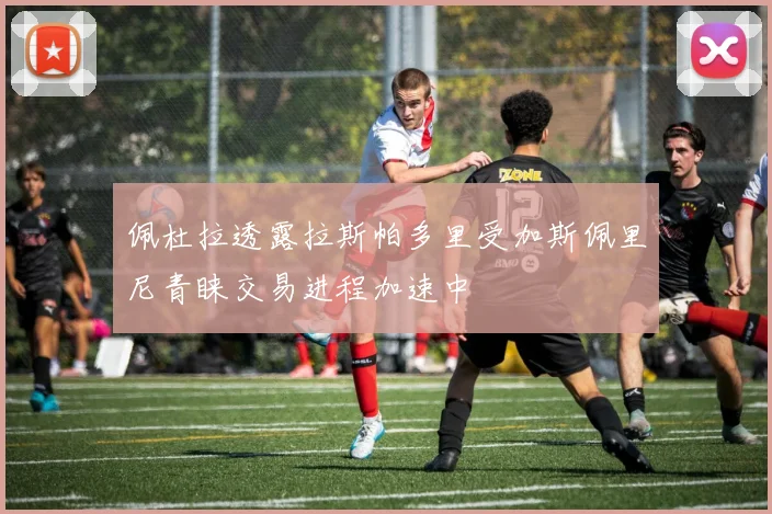 佩杜拉透露拉斯帕多里受加斯佩里尼青睐交易进程加速中