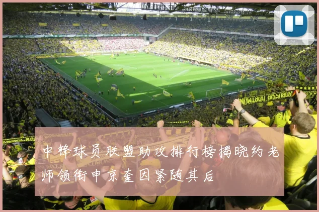 中锋球员联盟助攻排行榜揭晓约老师领衔申京奎因紧随其后