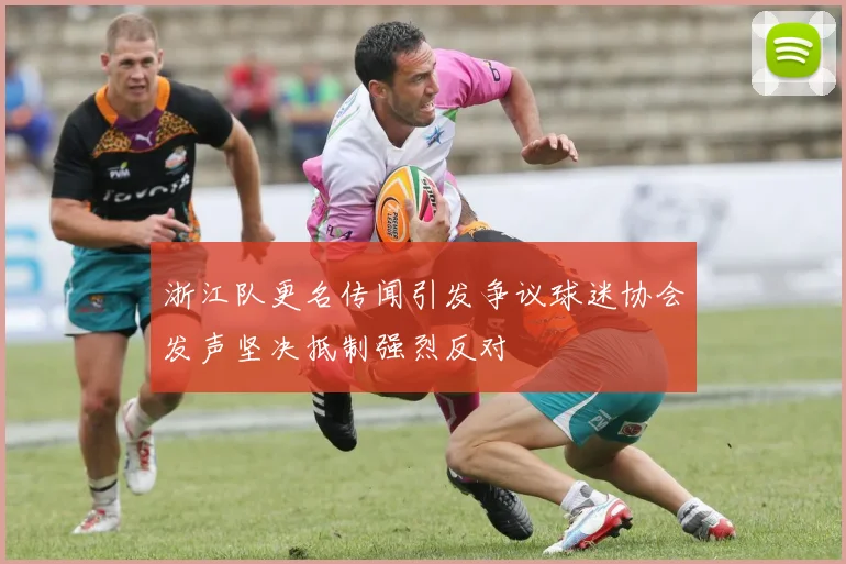 浙江队更名传闻引发争议球迷协会发声坚决抵制强烈反对