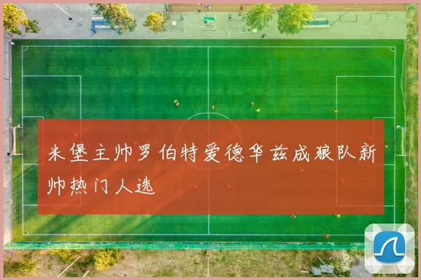 米堡主帅罗伯特爱德华兹成狼队新帅热门人选